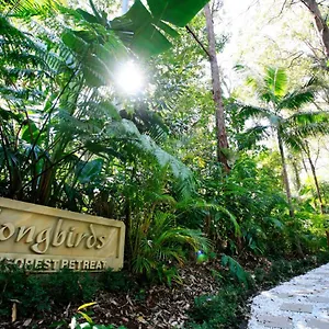 https://songbirds-rainforest-retreat-mount-tamborine.queenslandhotels.net